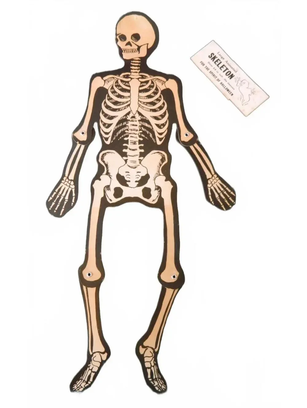 1 Vintage NOS Halloween Skeleton Jointed 24